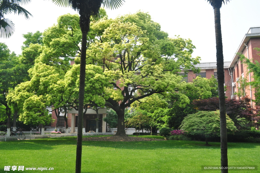 复旦大学校园