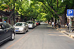 北京林荫道