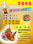 饭店宣传页