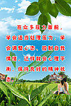 解除压力