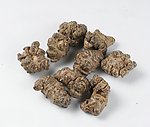 三七田七中药材摄影
