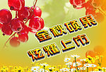 金秋硕果上市