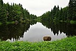 河边风光