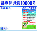装宽带 就拨10000号