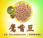 鹰嘴豆瓶贴