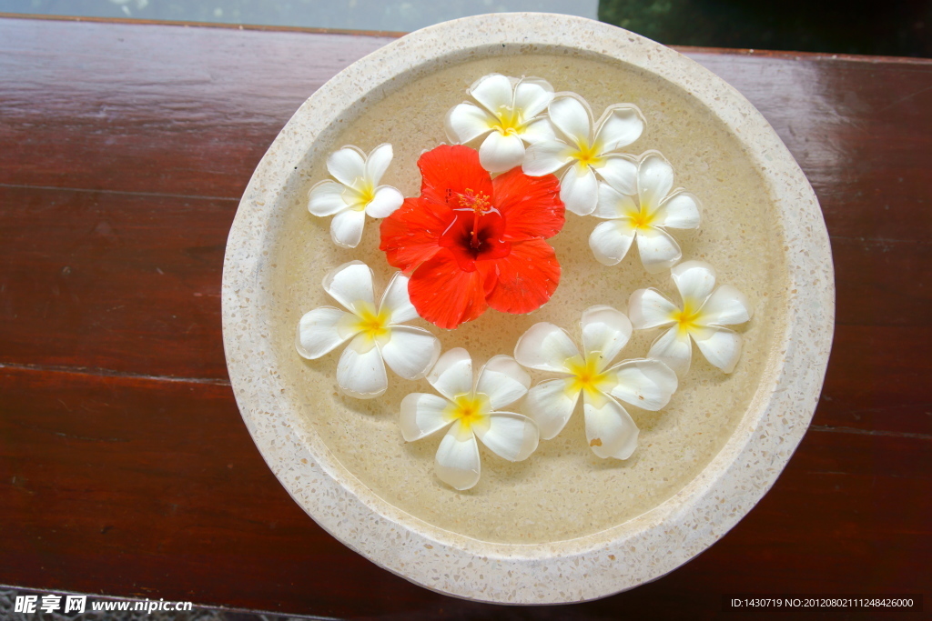 鸡蛋花
