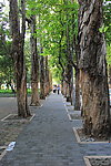 中山大学