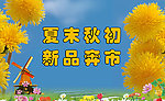 秋品上市