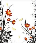雅然 兰花 蜻蜓