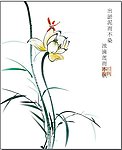 冰清玉洁 国画 荷花 蜻蜓