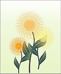 蓬勃向上 太阳花 向日葵