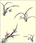 君子兰 兰花 国画