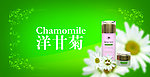 洋甘菊 护肤品海报