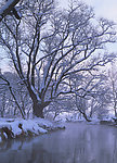 雪后美景