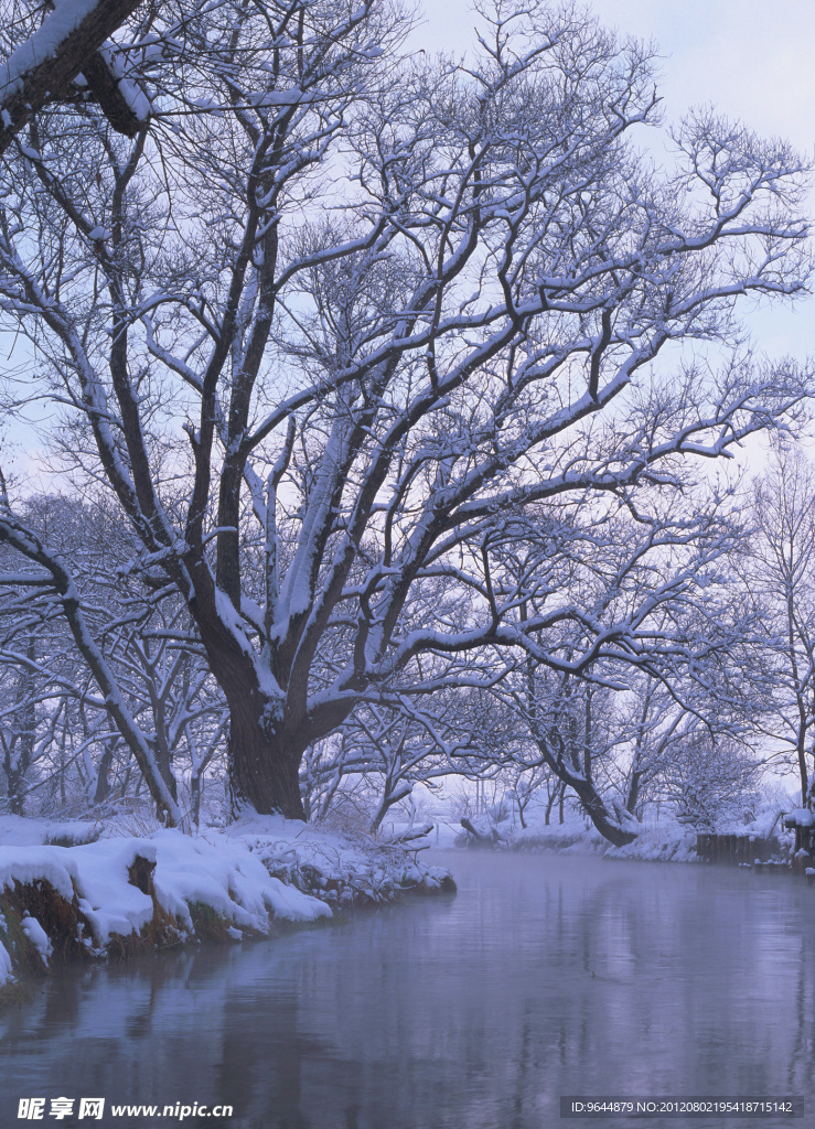 雪后美景