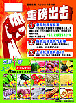 超市活动 重磅出击