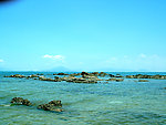 大海