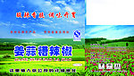 辣椒包装