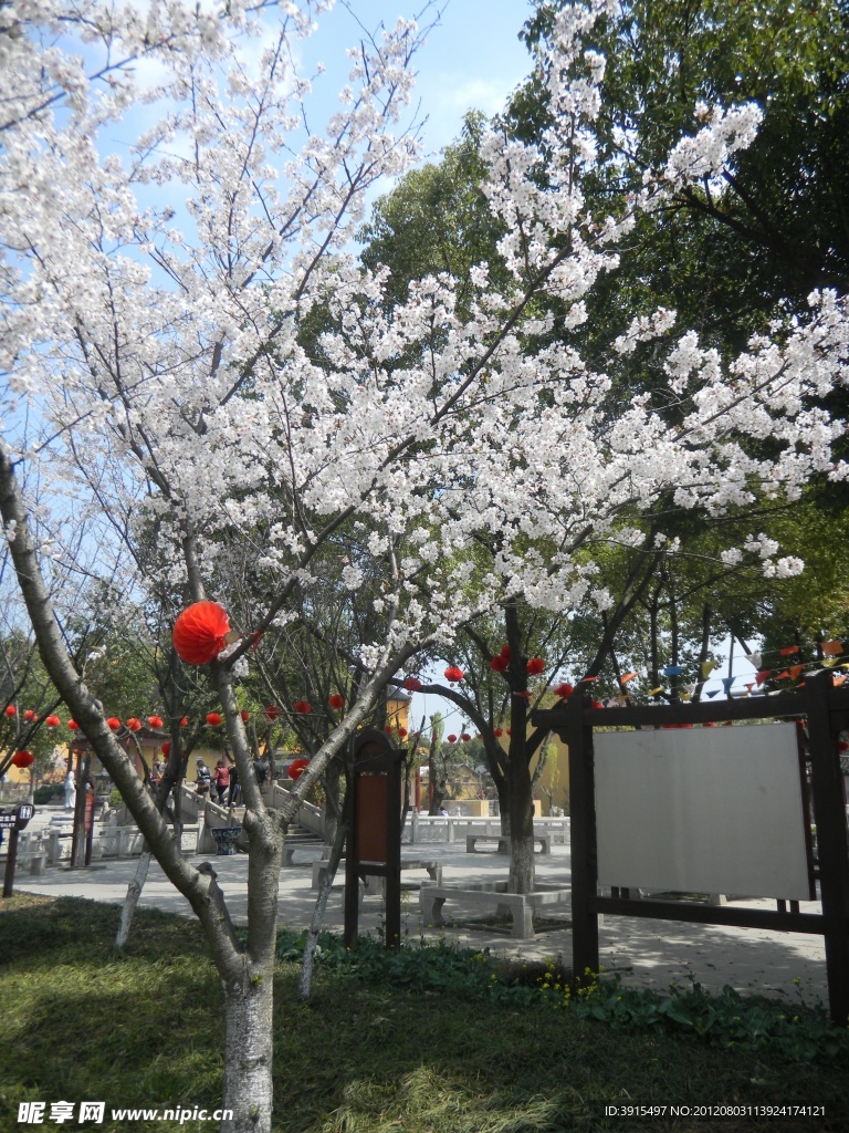 永庆寺