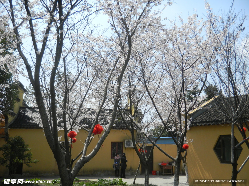 永庆寺