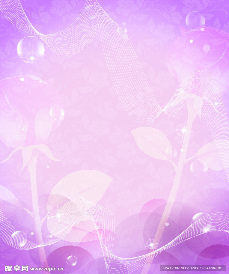 紫色梦幻玫瑰