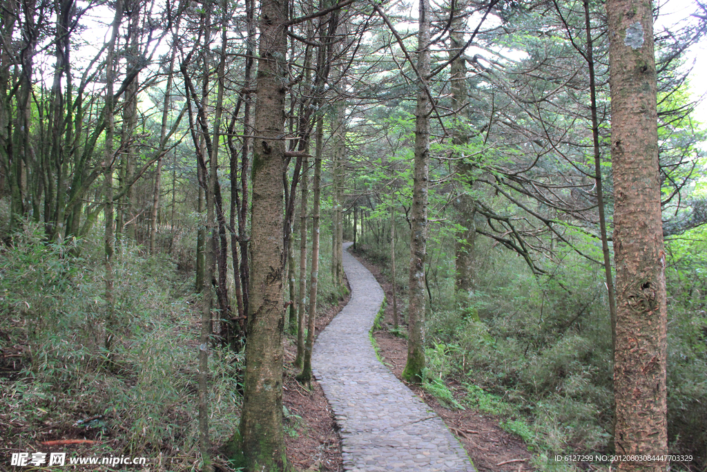 神农架风景