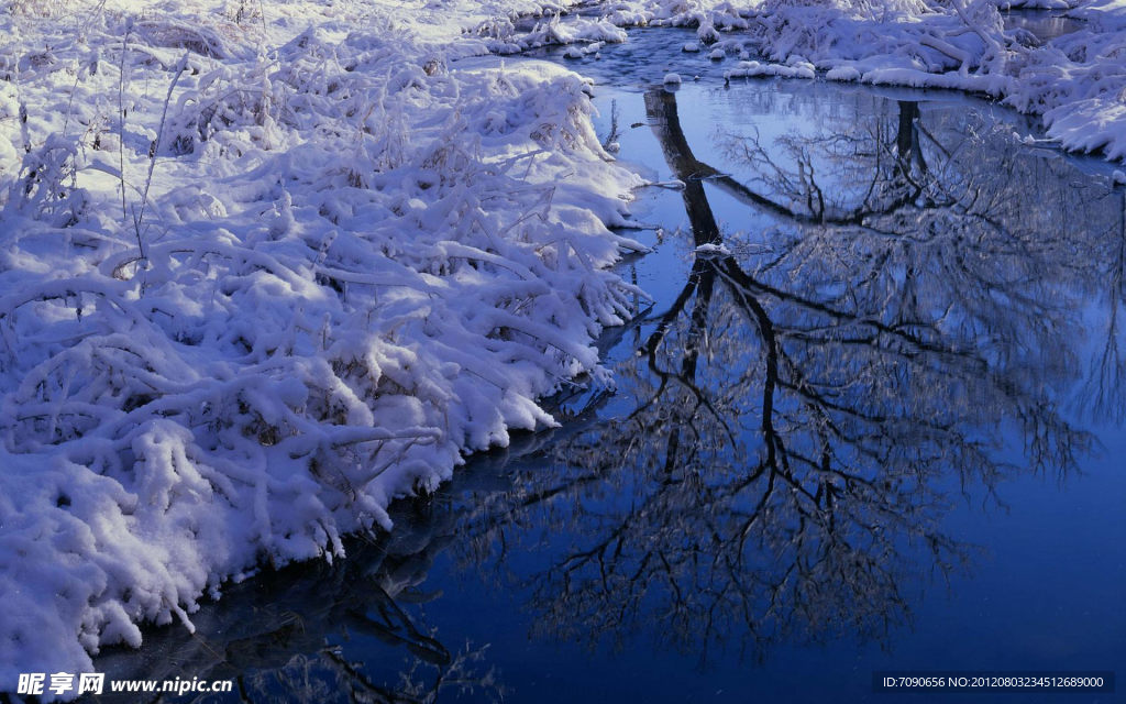 冬季风景