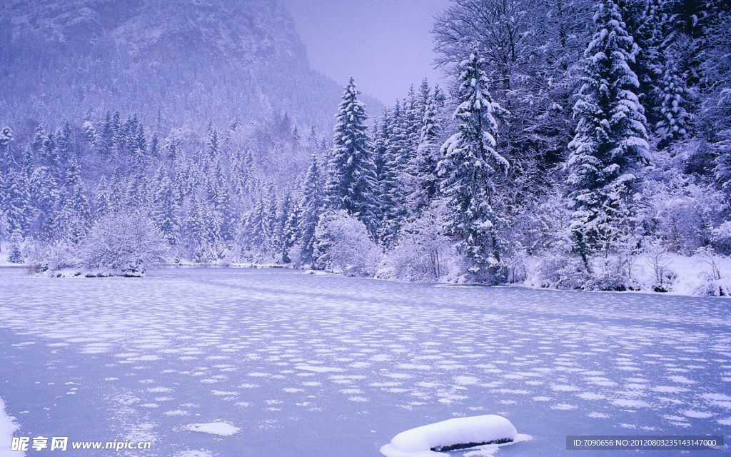 冬季风景