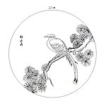 白头翁