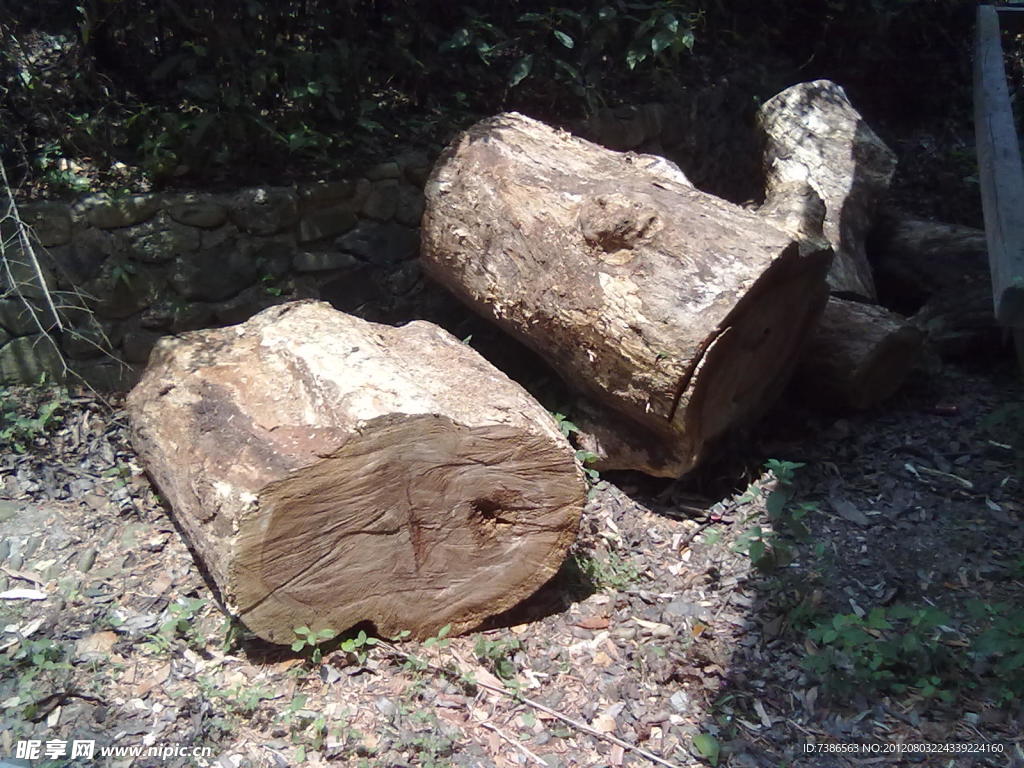 木墩