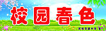 学校背景墙