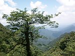 水槎天湖山