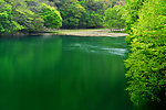湖畔