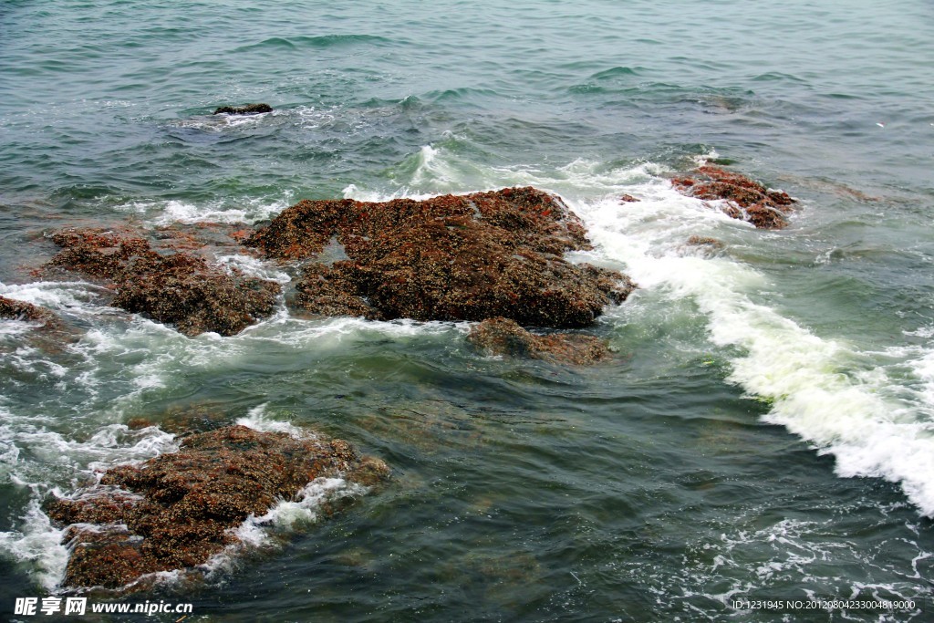 大海
