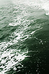 大海