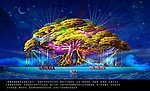 玄幻 魔幻 梦幻金树 舞美树