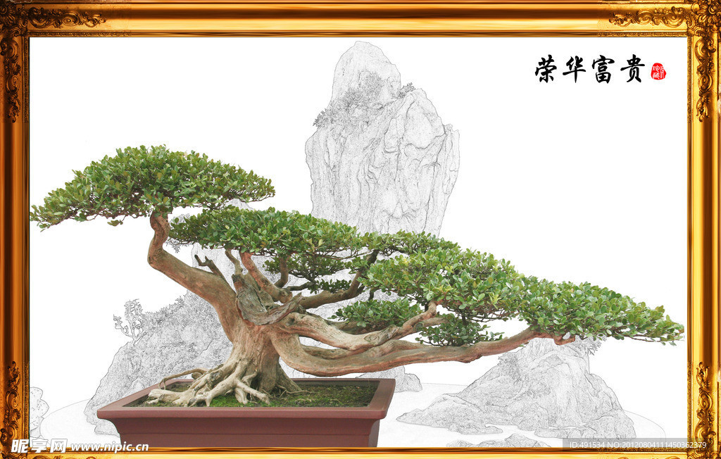 荣华富贵