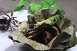 干菜牛肋骨