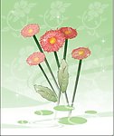 红花绿叶 向日葵