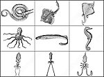 章鱼带鱼海马海洋生物笔刷