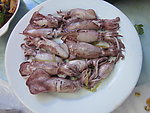 鱿鱼仔