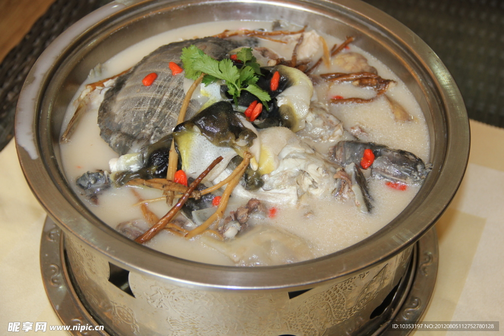 霸王河鲸
