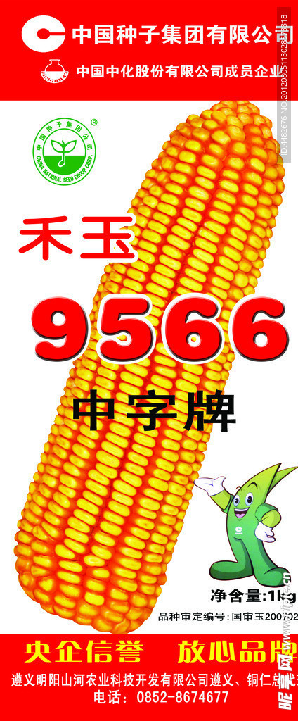 中种和玉9566