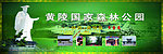 陕西黄陵国家森林公园