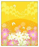 花之梦想 野菊花 蝴蝶 草