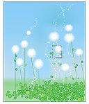 飘缈 蒲公英 蓝天 绿草