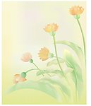 幻想 黄花绿叶 郁金香