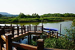 生态湖
