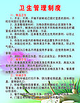 卫生管理制度