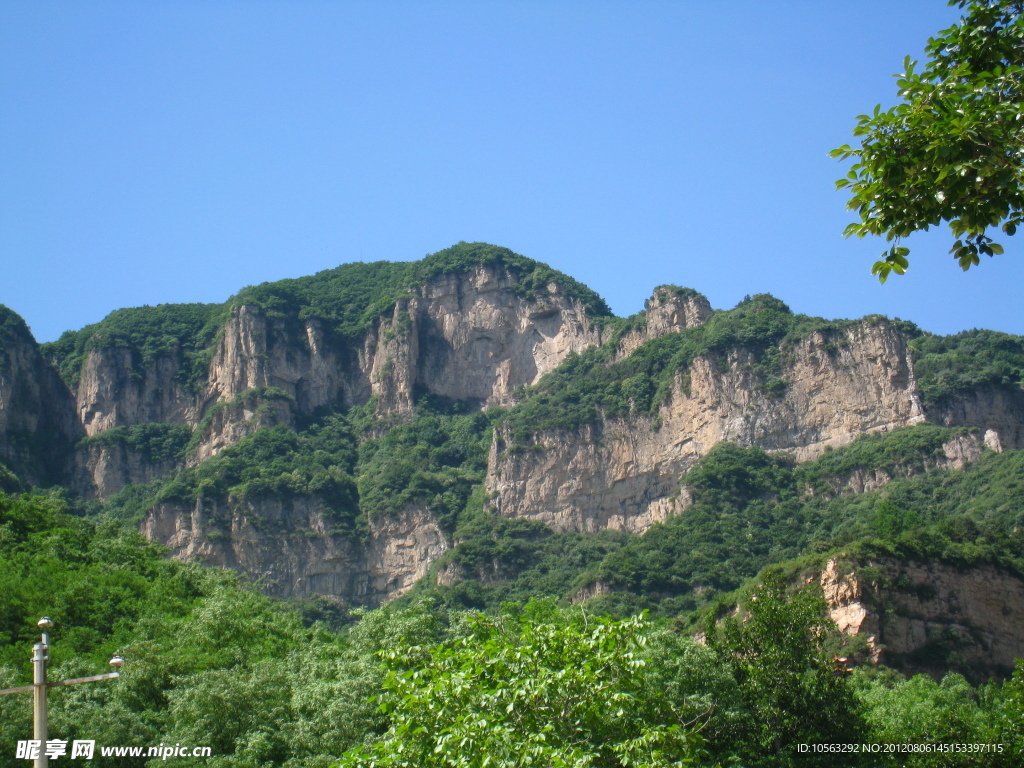 山茂